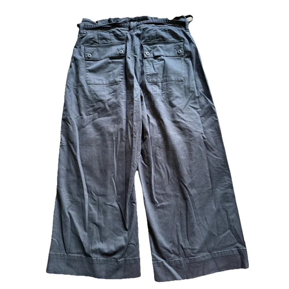 American Eagle Outfitters Paper Bag Crop Pants Size 10 Regular - Picture 5 of 8